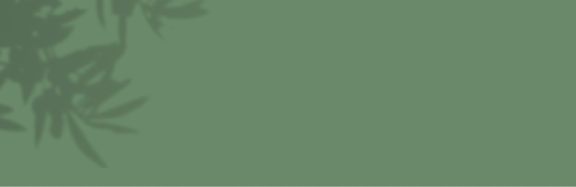 Bannière catégorie Bannière catégorie